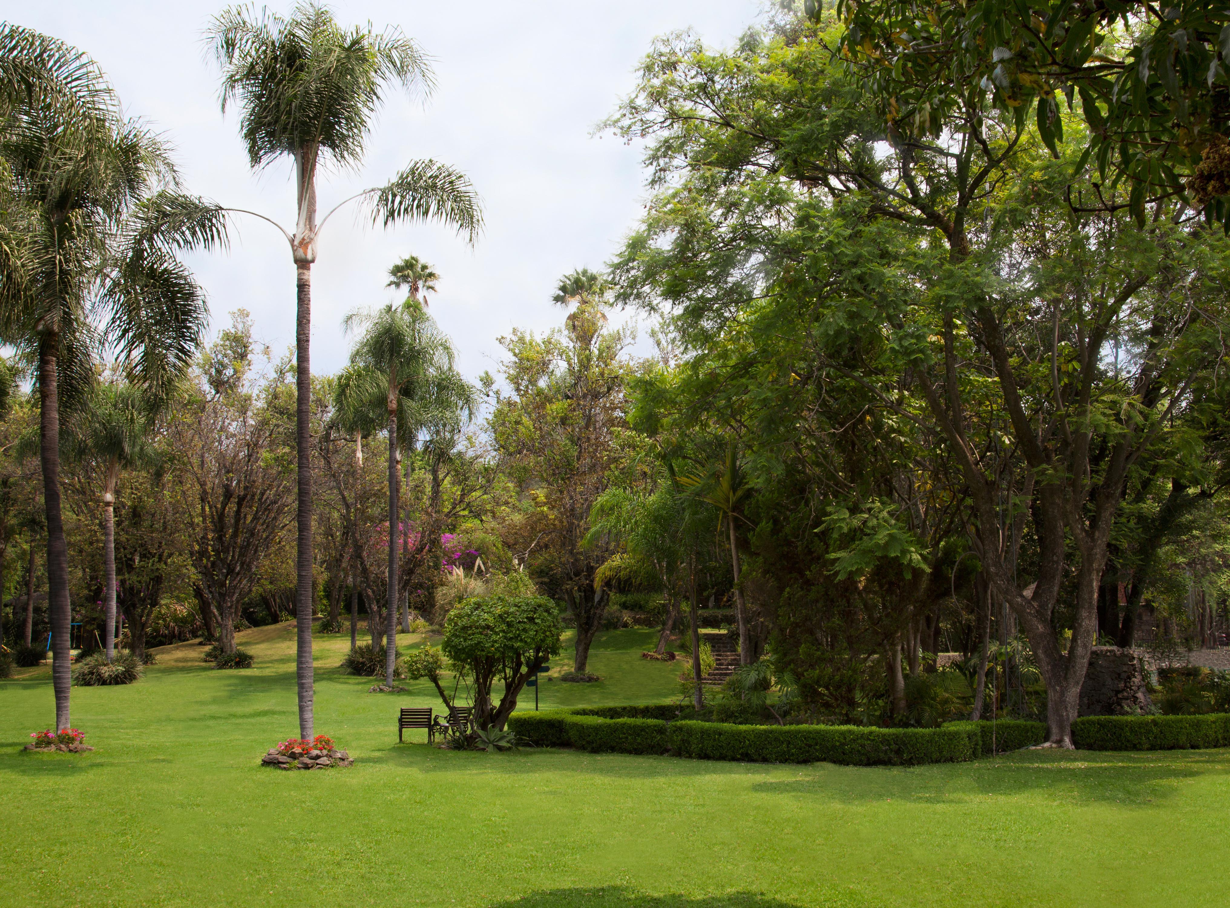 Hotel Racquet Cuernavaca Bagian luar foto